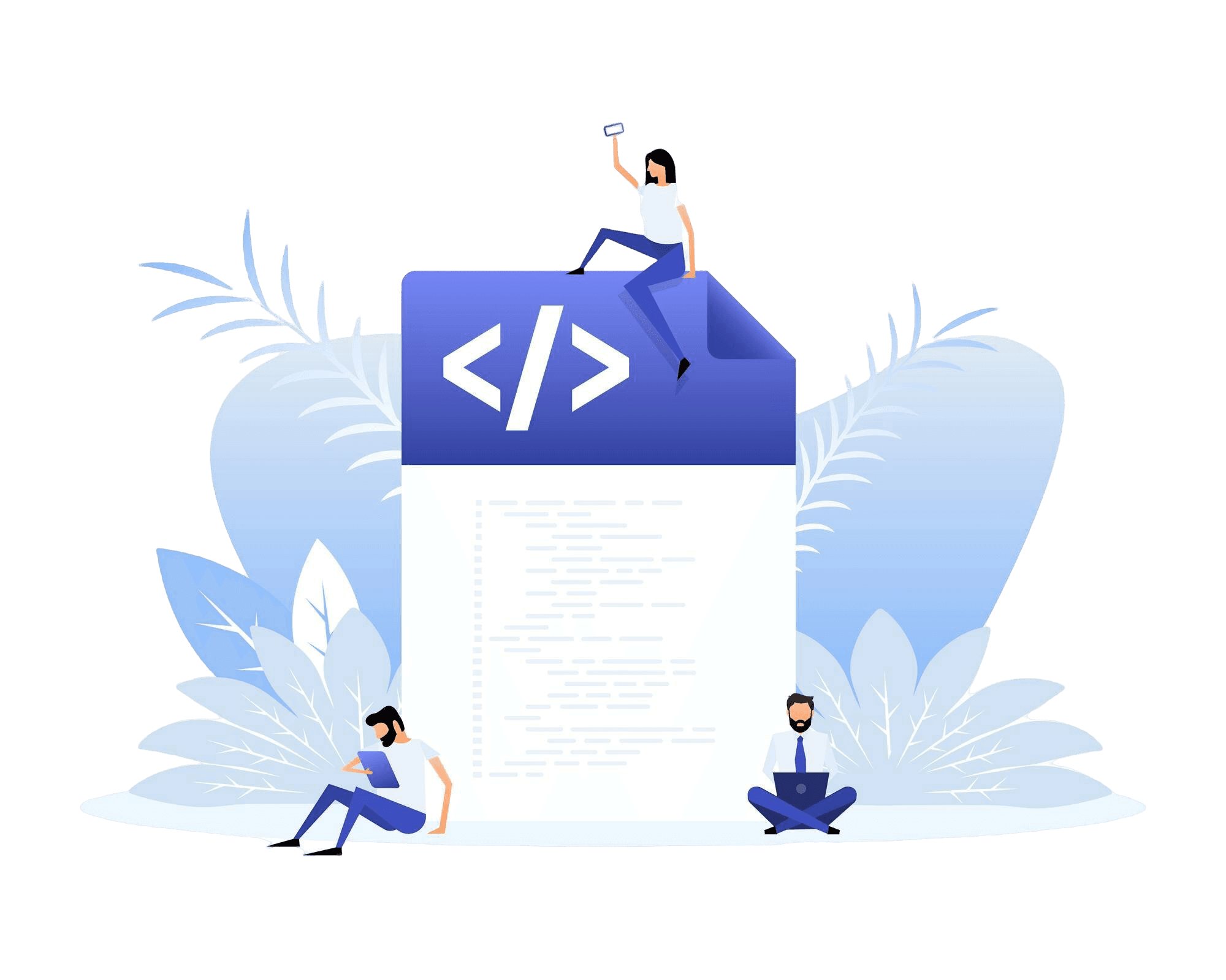 Guide til OpenDIMS scripting