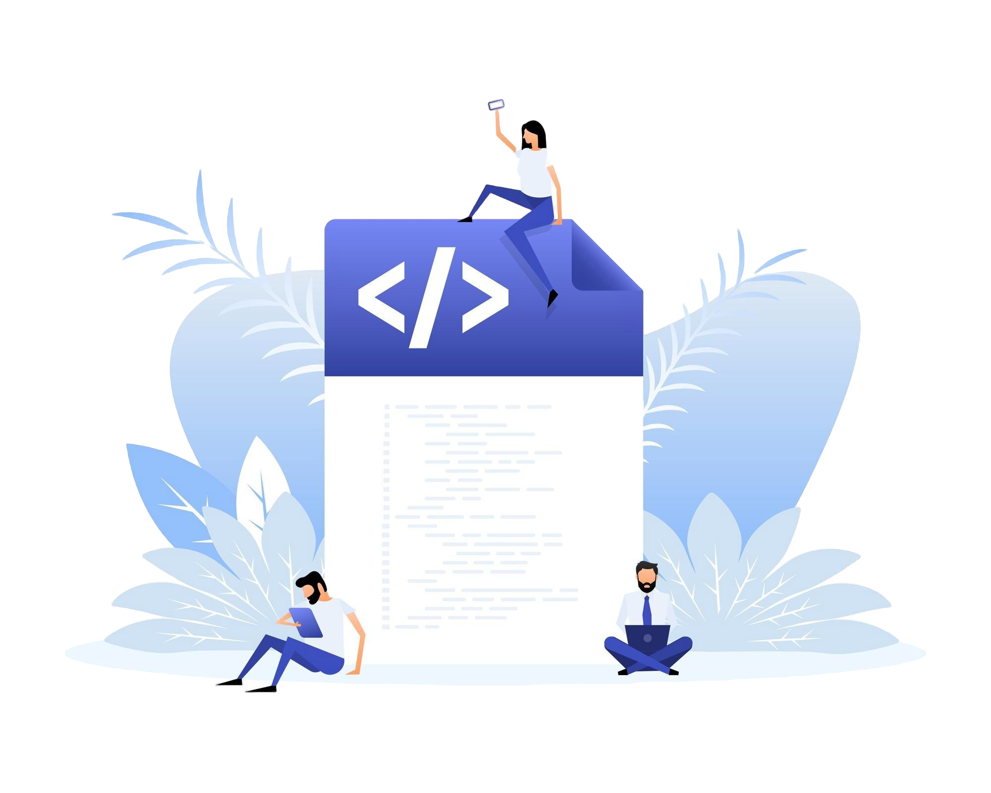 Guide til OpenDIMS scripting