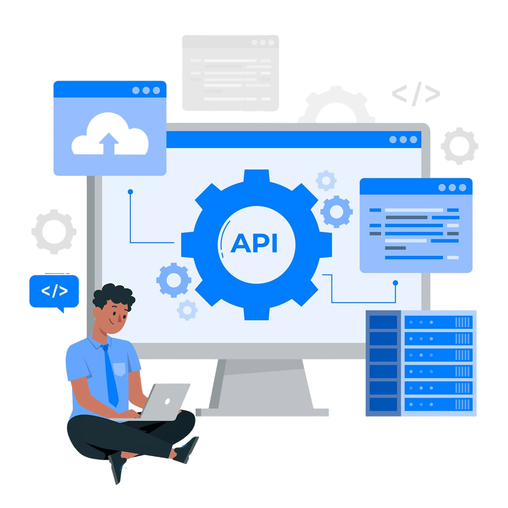 OpenDIMS API